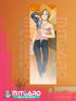 FULL METAL ALCHEMIST Edward Elric wall scroll fabric or Adhesive Vinyl poster - Vinil poster GLOSSY / 50cm x 150cm - 2